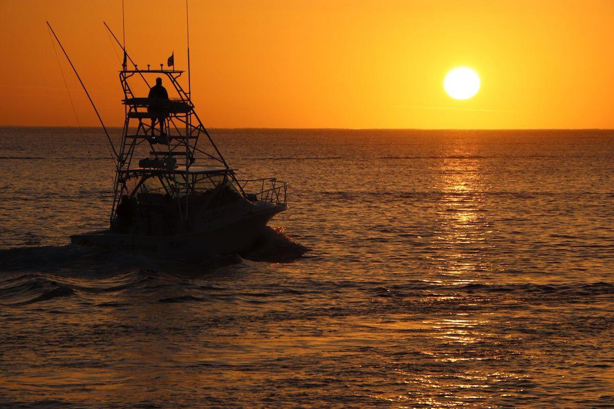 Pesca deportiva, Los Cabos