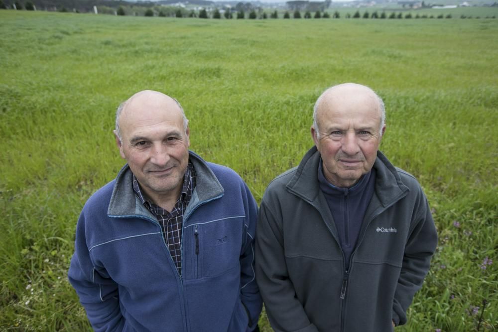 Los concejos del occidente de Asturias, considerados como los más saludables