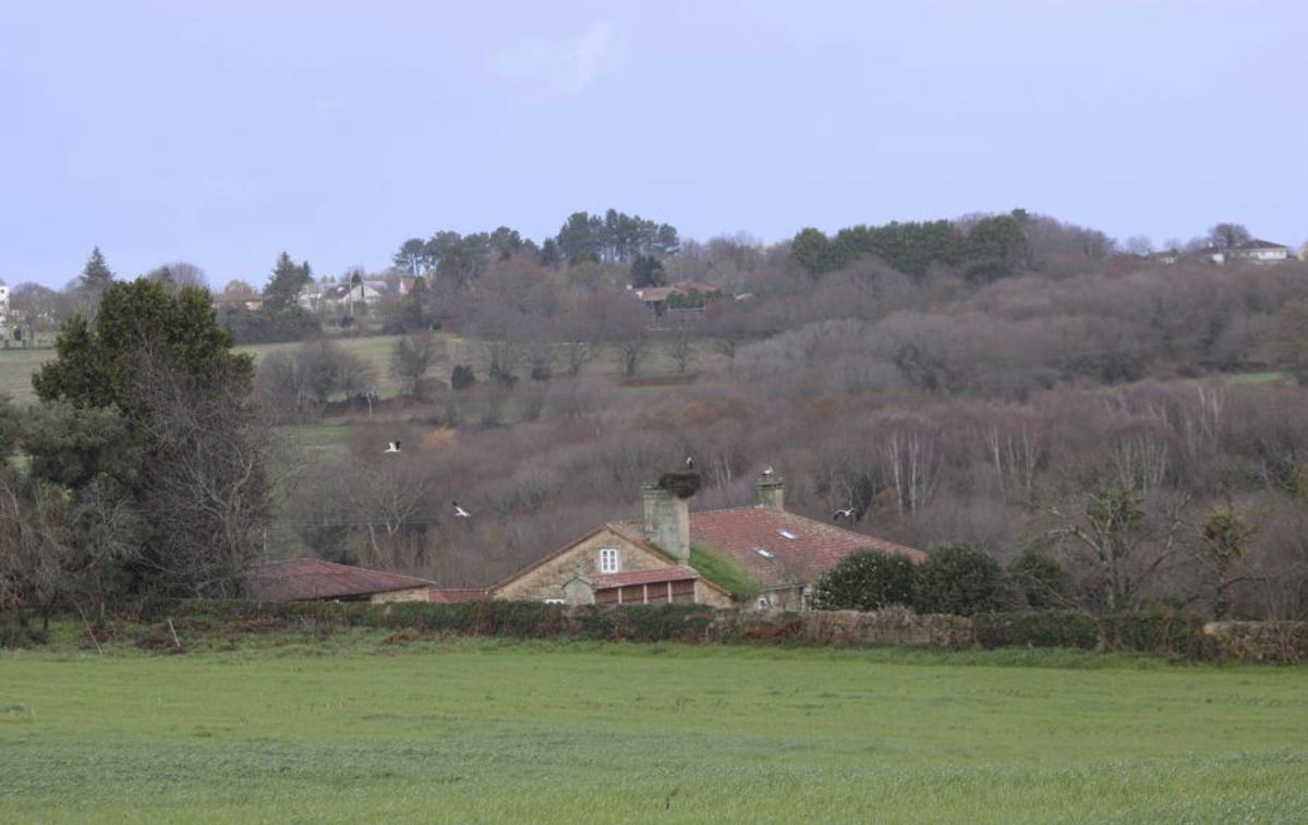 Cegoñas disputan aniñan na cheminea da casa grande de Chapa. | D.G.A.