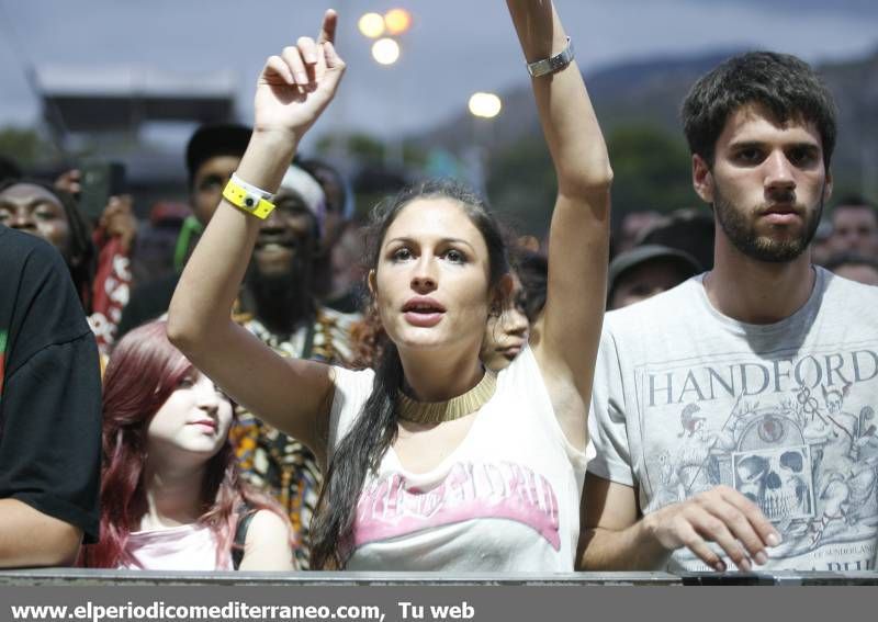 GALERÍA DE FOTOS - Collie Budzz y Mo’Kalamity en el Rototom