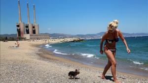 dcaminal35006120 sant adri  del besos 08 08 2016 verano barcelona la playa de160811121253