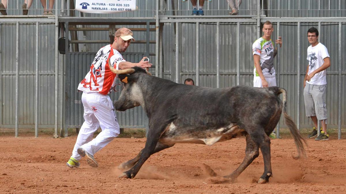 Los festejos taurinos vuelven este fin de semana a Navajas.