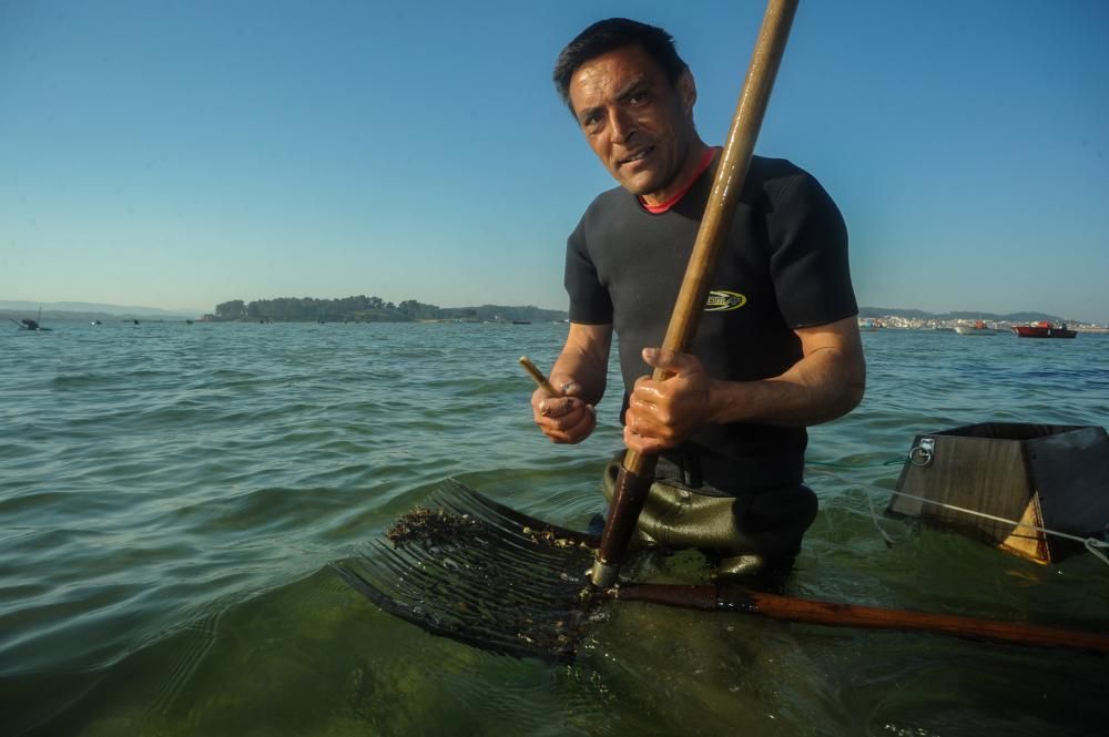 El marisqueo también genera turismo