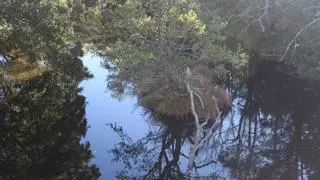 Los vecinos de El Puente piden la retirada de un tronco del río Tera