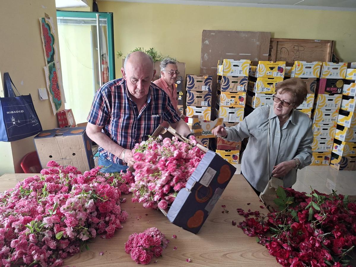 En imágenes: Los artistas florales de Castropol encaran la recta final para el Corpus Christi
