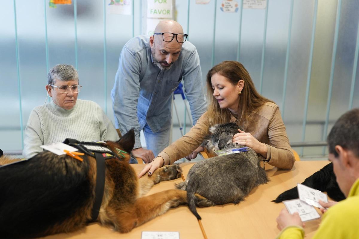 La Comunidad de Madrid cuenta con una amplia red especializada en la atención a personas con discapacidad intelectual en proceso de envejecimiento prematuro, compuesta por 847 plazas públicas.