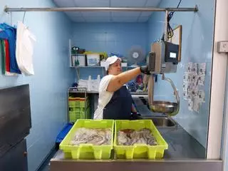 La crisis del pulpo se agudiza y la flota empieza a amarrar por la caída de capturas