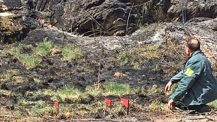 Un agente forestal inspecciona la zona quemada. | Ch.S.