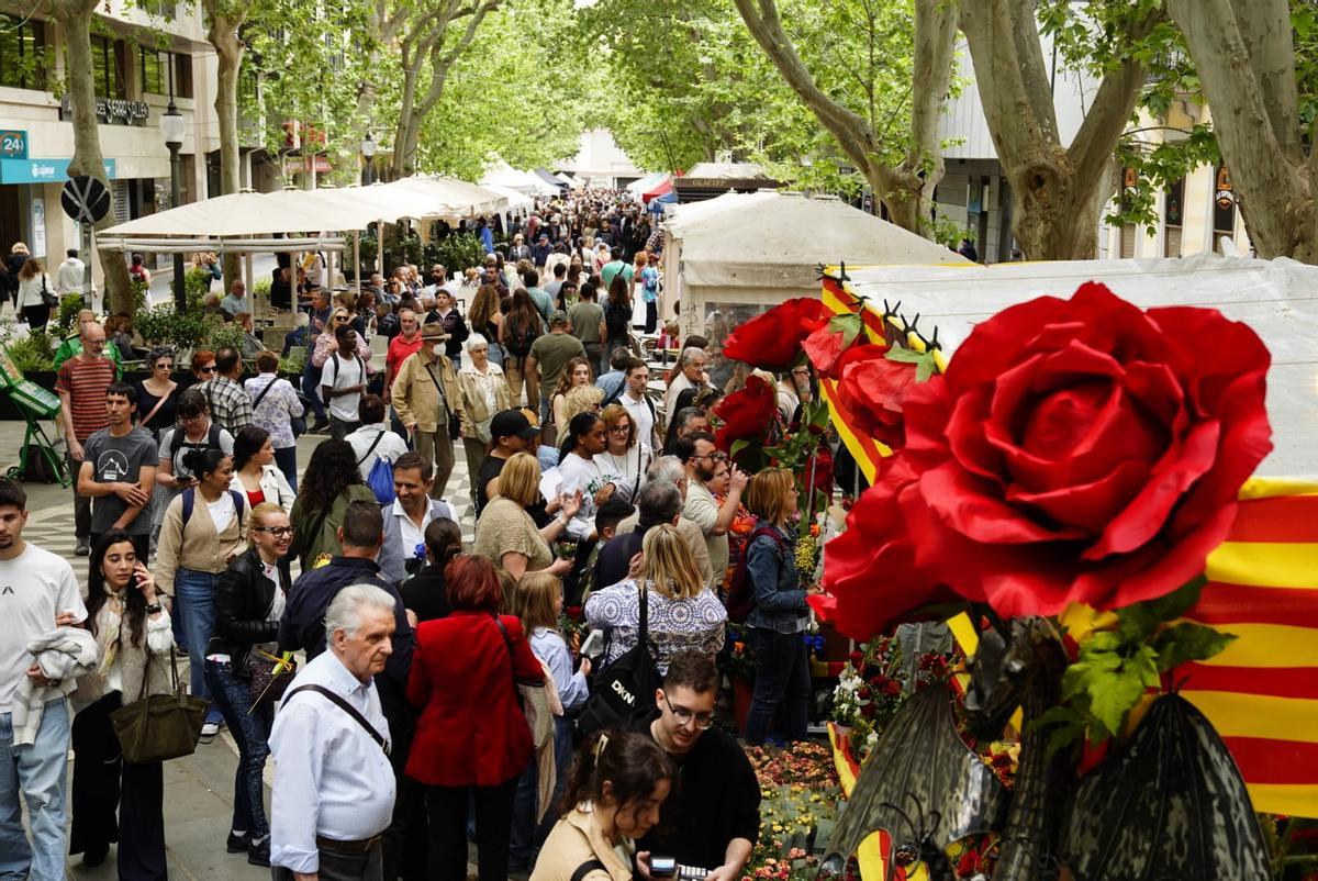 Les millor imatges de la Diada de Sant Jordi 2026 a Manresa