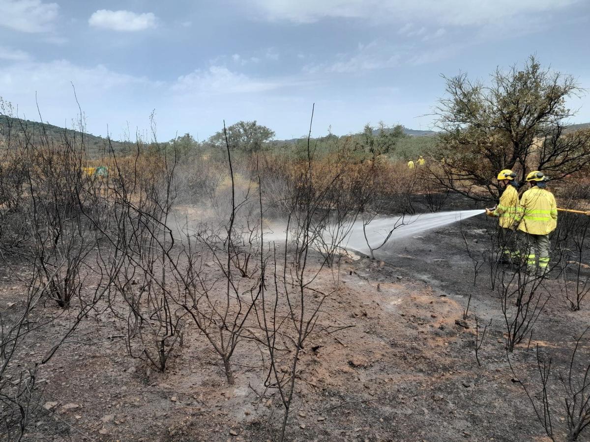 23/07/2026 Bomberos actuando en el incendio de Alosno (Huelva). SOCIEDAD INFOCA