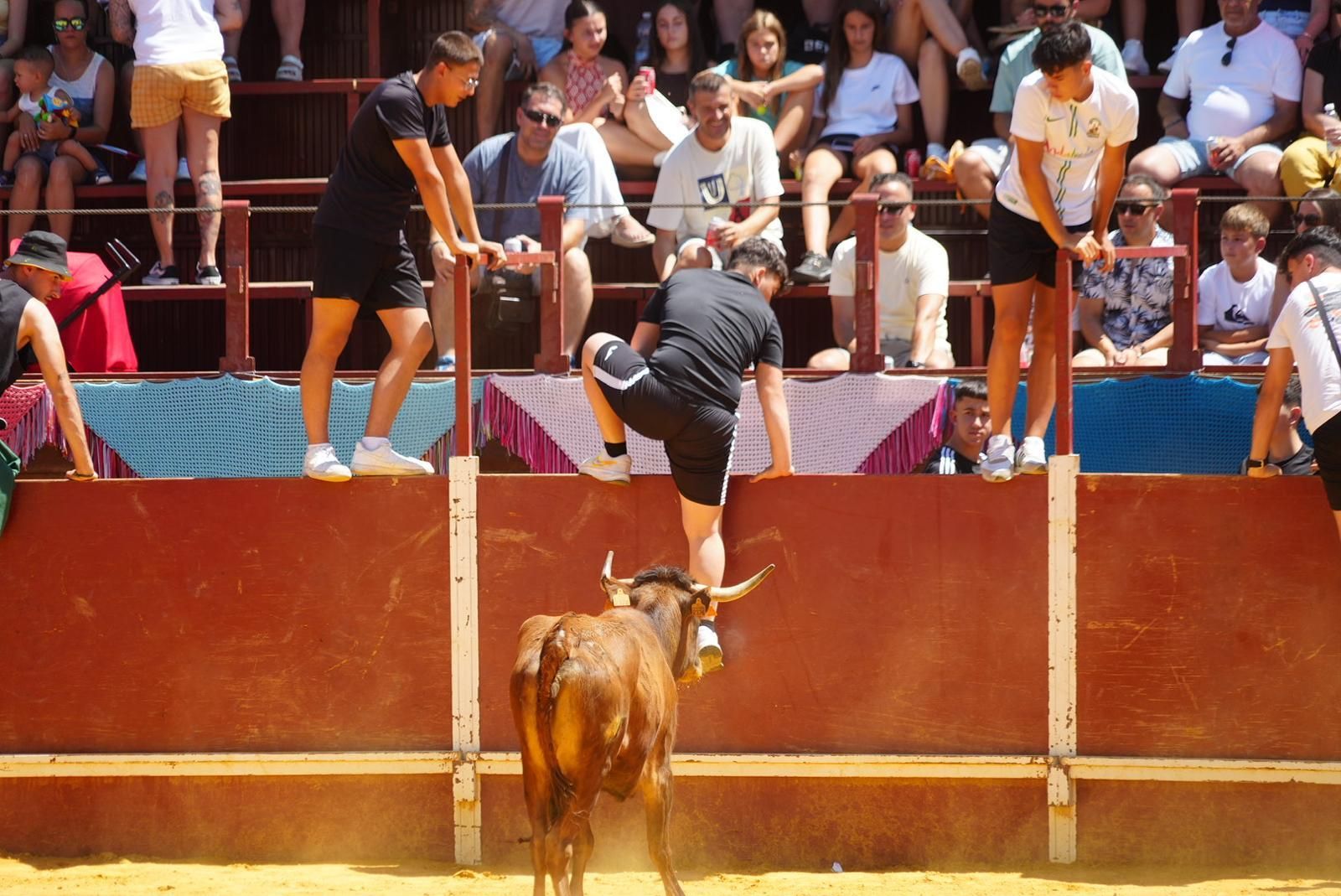 Gran ambiente, numeroso público y emoción en los encierros taurinos de El Viso
