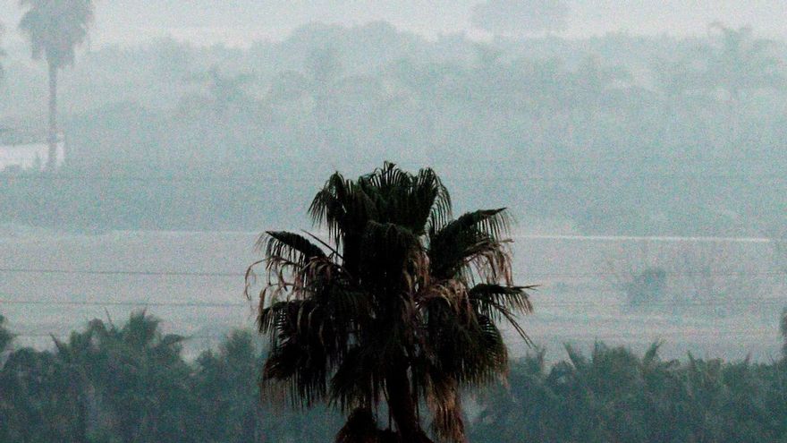 Una intensa niebla cubría hoy a primera hora la huerta de Valencia.