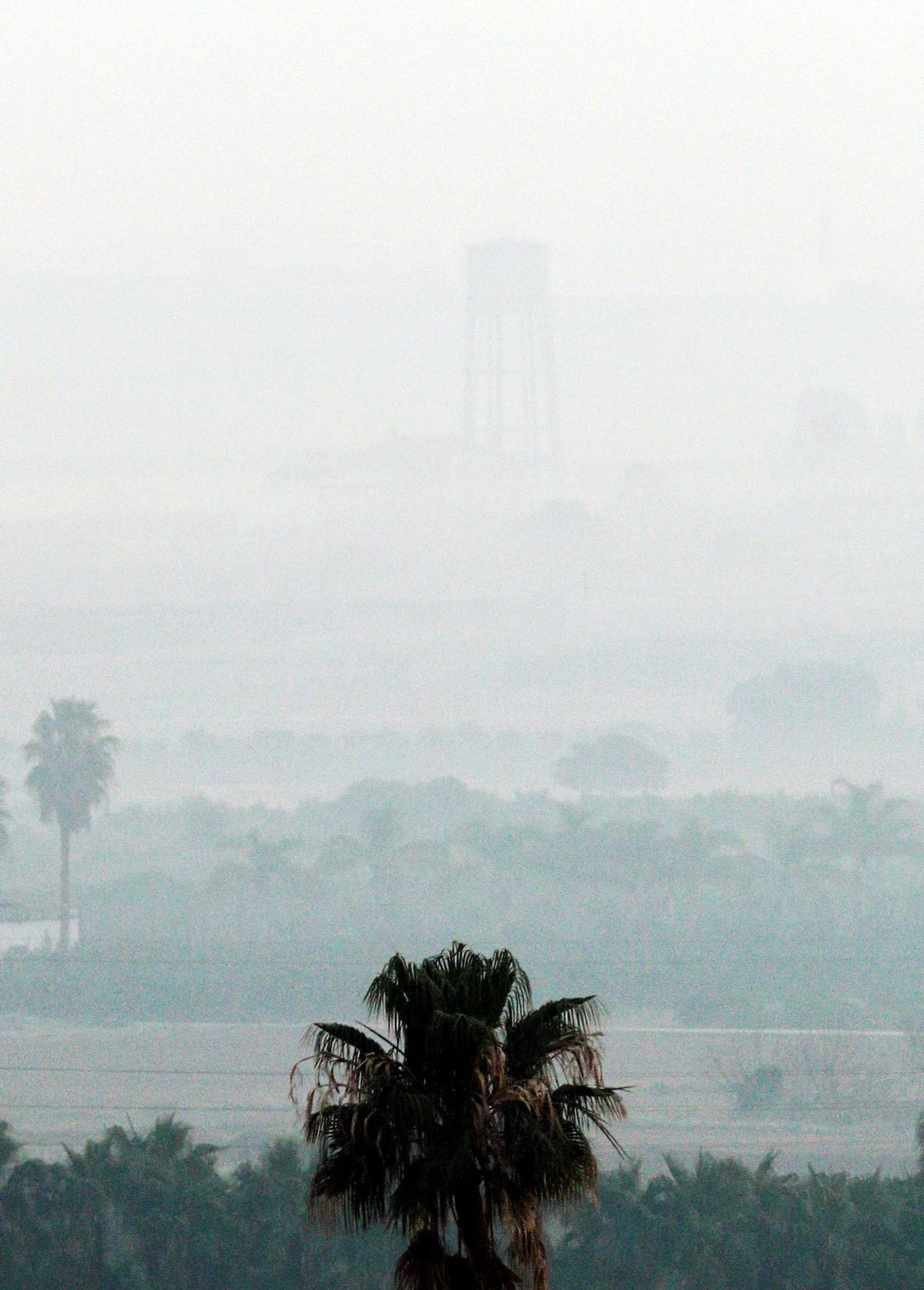Una intensa niebla cubría hoy a primera hora la huerta de Valencia.