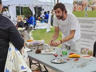 Las mejores imágenes de la Biosfira 2.0 de Alzira