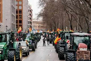 Extremadura se suma al clamor del campo en Madrid contra los recortes de la PAC y Mercosur