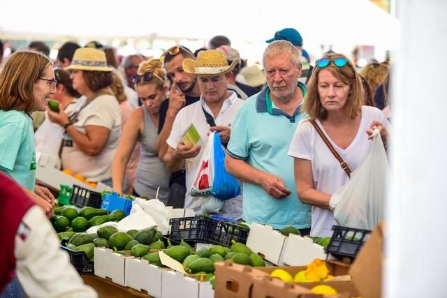 II Feria del Aguacate en Arguineguín