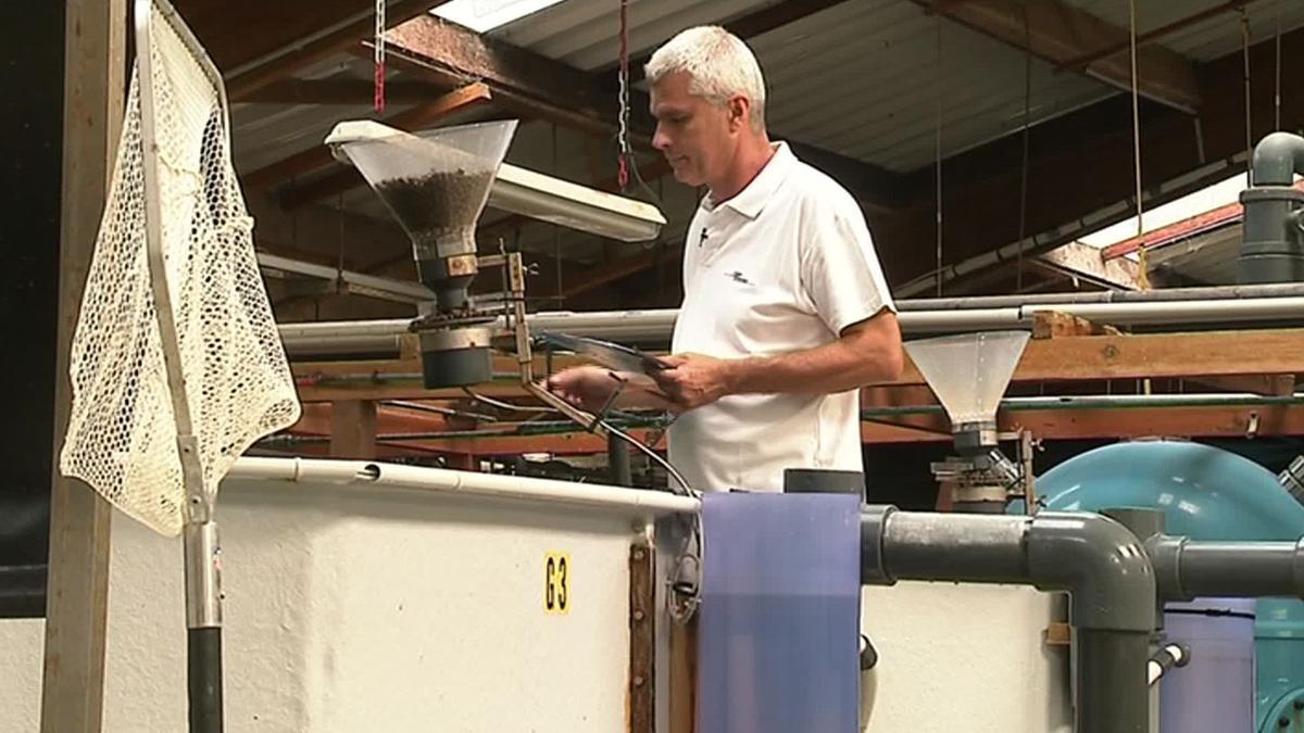 Cyrille Przybyla, en su laboratorio