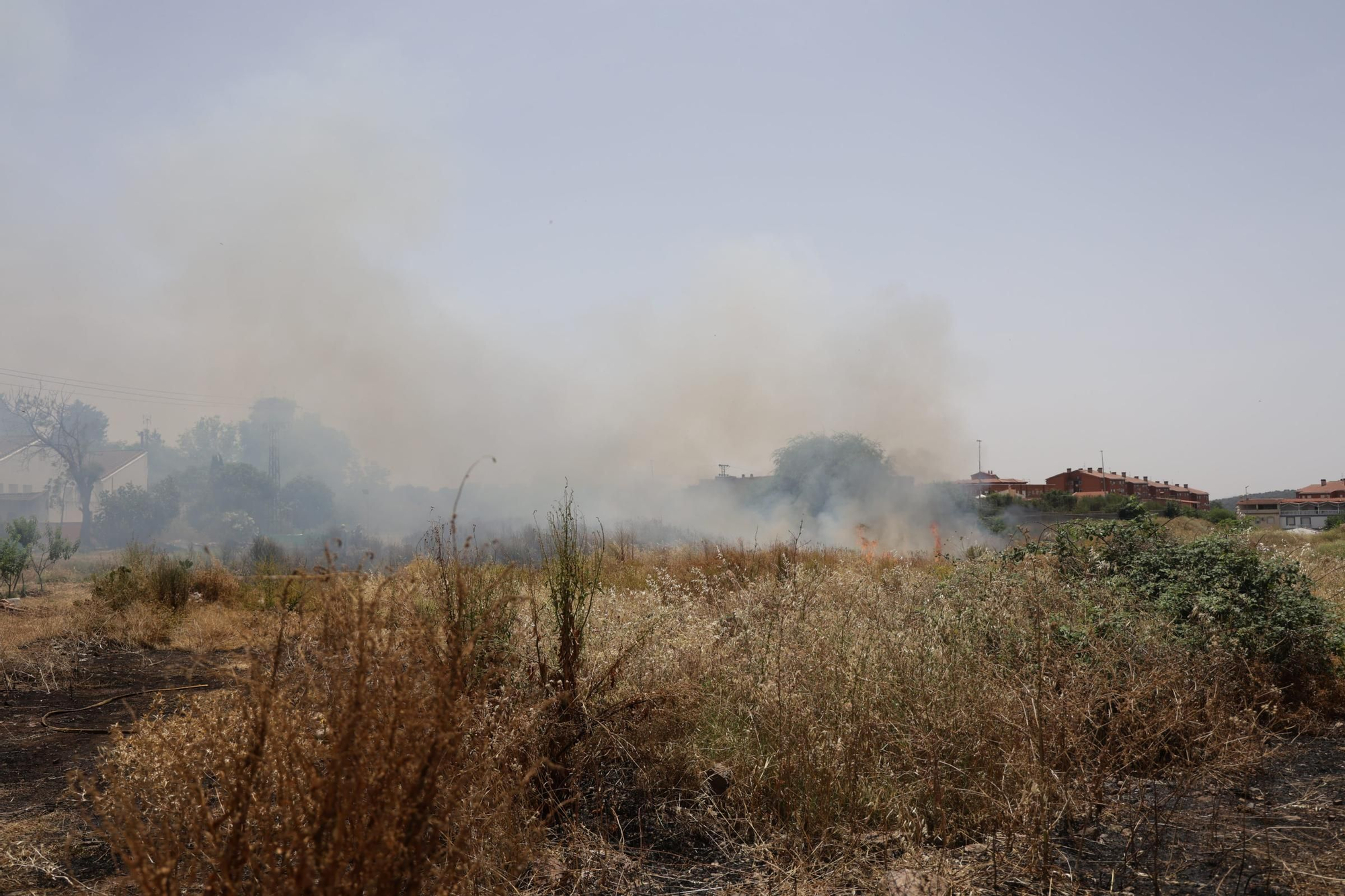 El Incendio en el Cerro de los Pinos, en imágenes