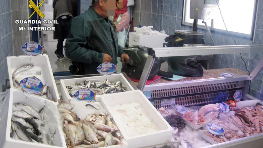 Una pescadería vendía y almacenaba una tonelada de pescado en mal estado