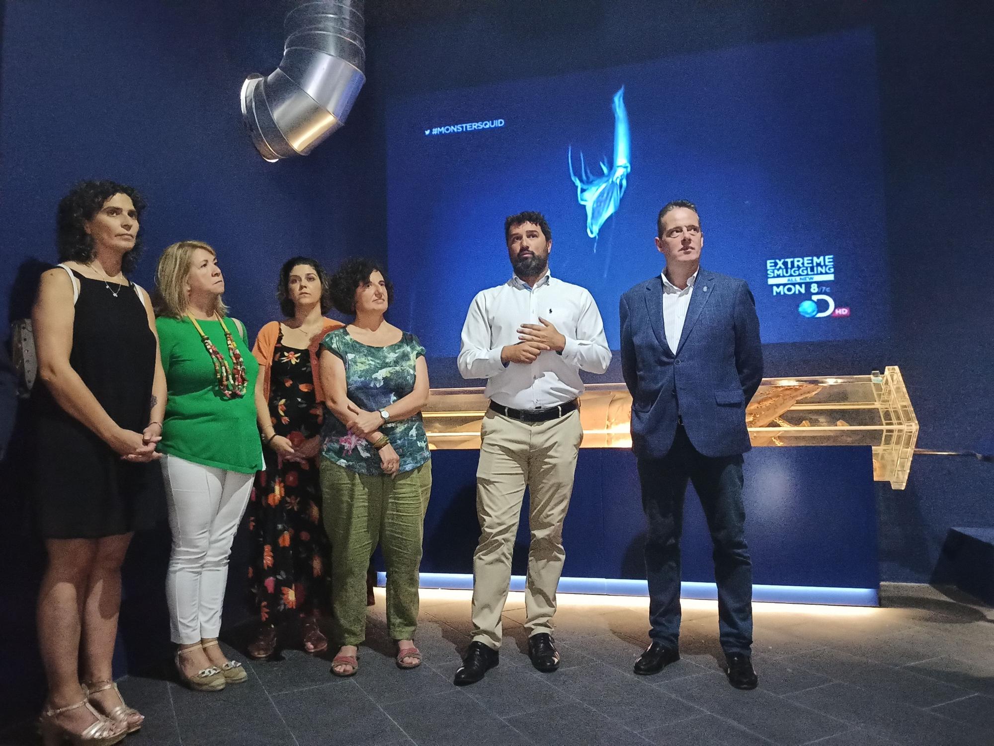 EN IMÉGENES: Así es el nuevo Museo del Calamar Gigante de Luarca