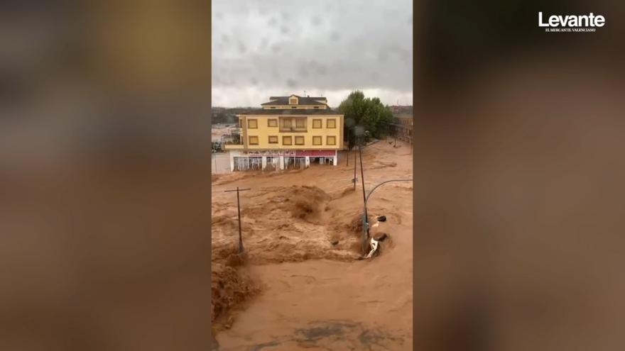 Els agents mediambientals van reexpedir vídeos dels llits el 29-O