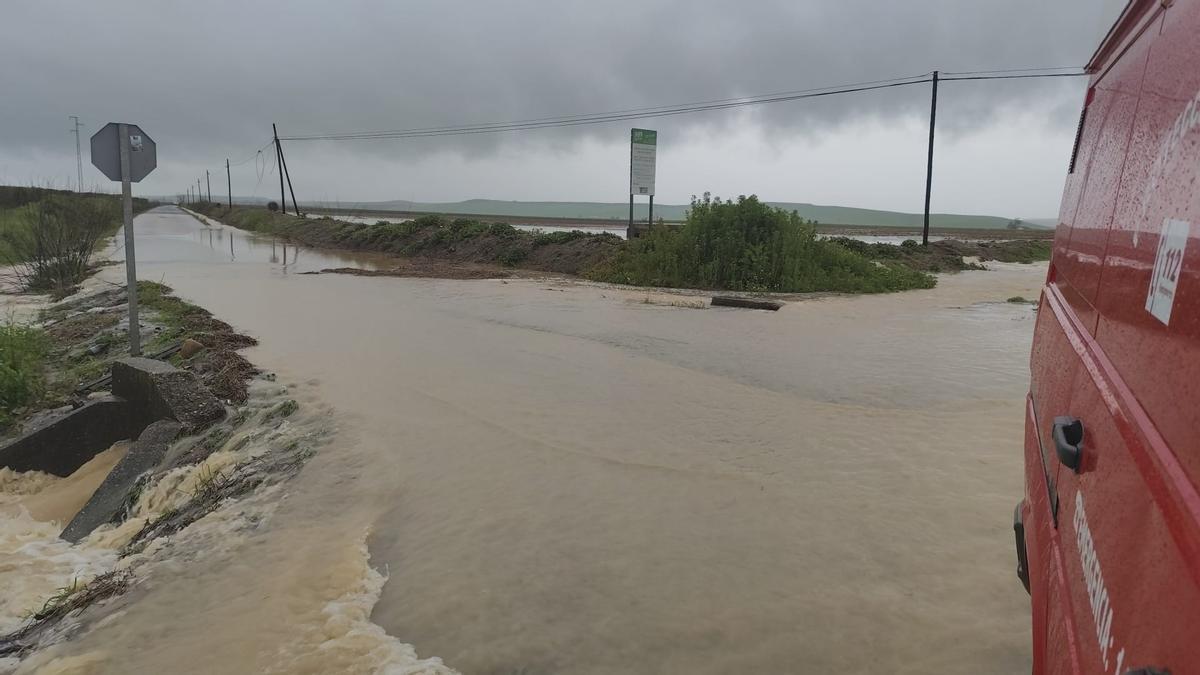 Estado que presenta la carretera de Calonge, en Palma del Río.