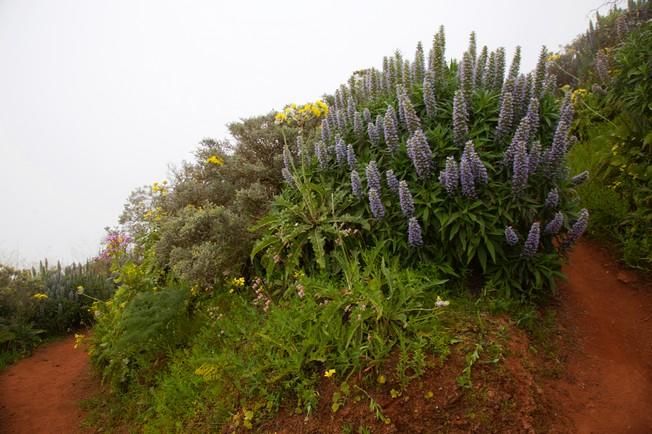 Gran Canaria, vista por Aíto García Reneses