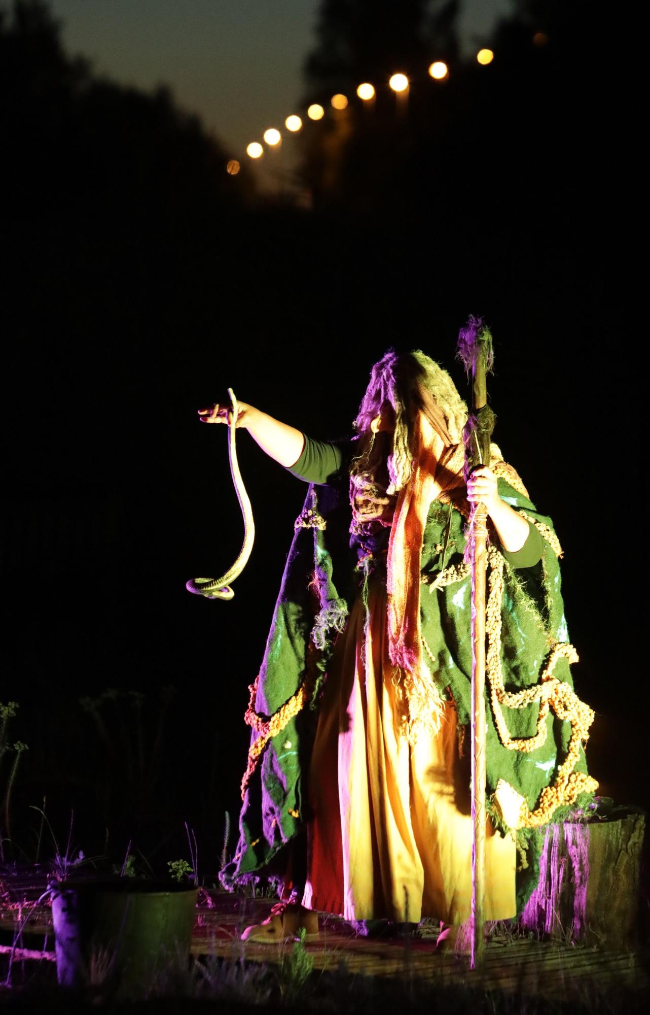 En imágenes: El Jardín Botánico de Gijón acoge las Noches Mágicas