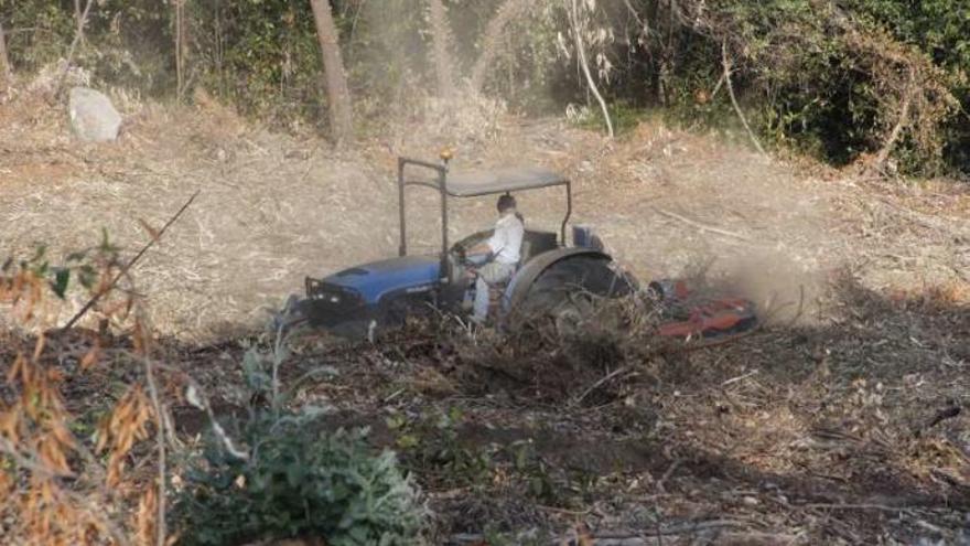 Un tractor trabajando en la zona de la tala. // Santos A.