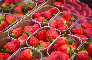 España detecta un segundo envío de fresas marroquís contaminadas con hepatitis A