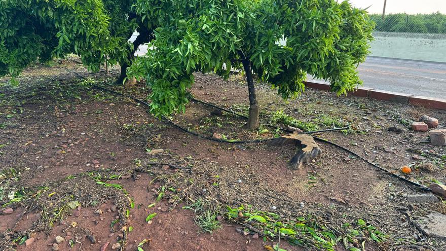 CaixaBank financiará con 80 millones para los afectados por las adversidades climatológicas