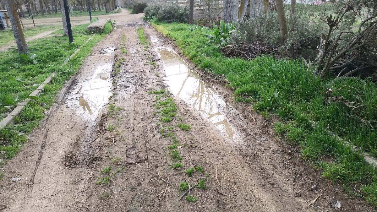 Estado de uno de los caminos del parque de Olivares.