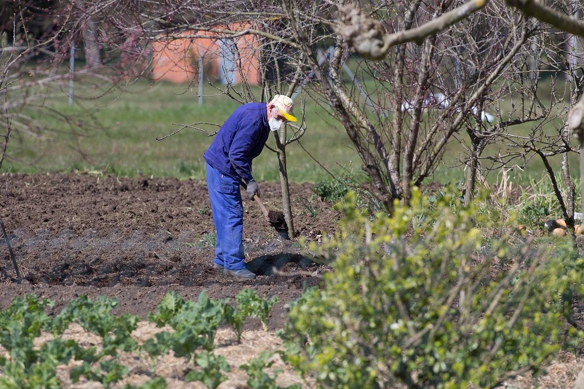 Un hombre trabajandouna finca en Galicia