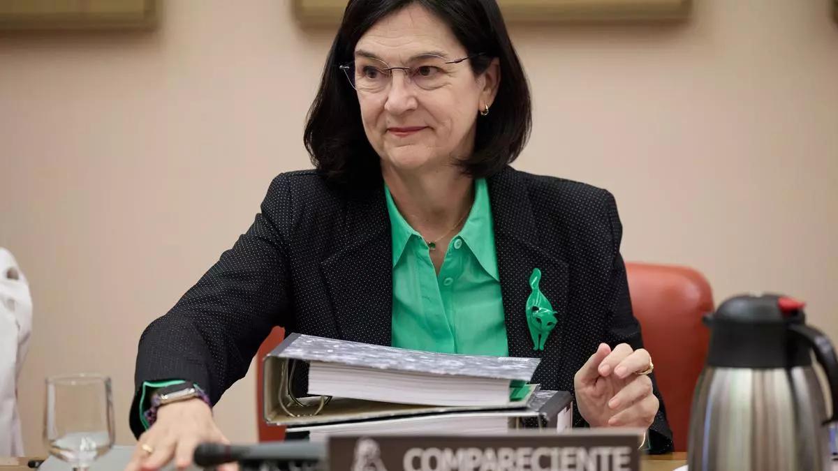 La presidenta de la Comisión Nacional de los Mercados (CNMC), Cani Fernández, comparece en la Comisión de Economía, Comercio y Transformación Digital, en el Congreso de los Diputados, a 19 de septiembre de 2024, en Madrid (España).