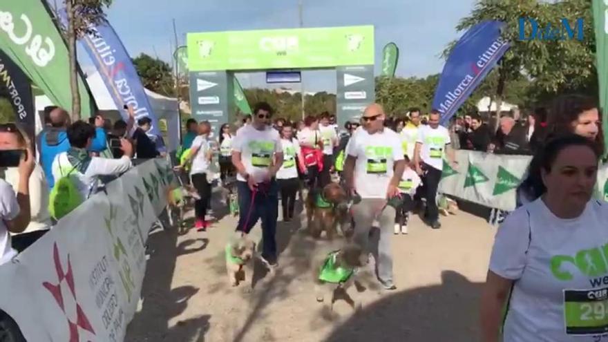 Can We Run, una carrera para disfrutar en familia y con las mascotas caninas