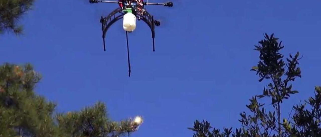 Un dron de Aeromedia fumigando en Vigo.