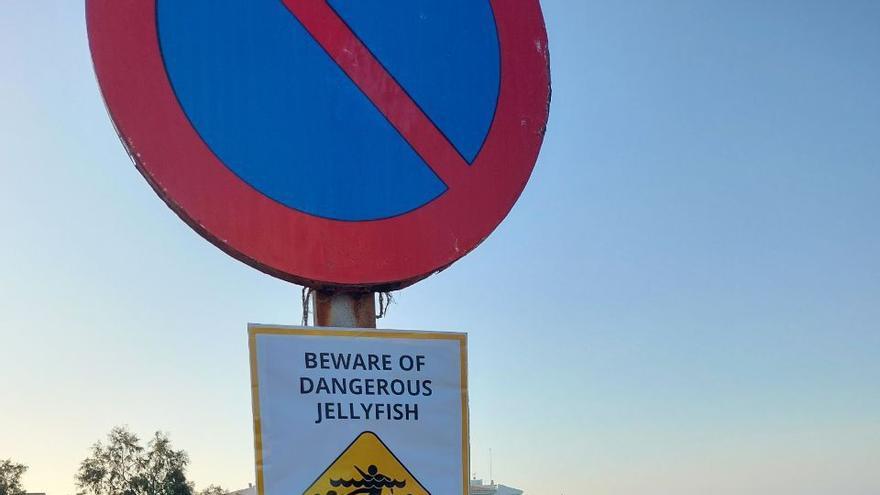 Aktivisten protestieren mit kuriosen Schildern gegen den Massentourismus an Stränden von Manacor