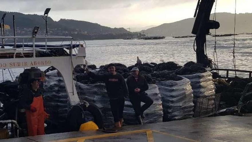 Tripulación del barco &quot;Baído&quot;, en Moaña, esperando por la descarga. // Gonzalo Núñez