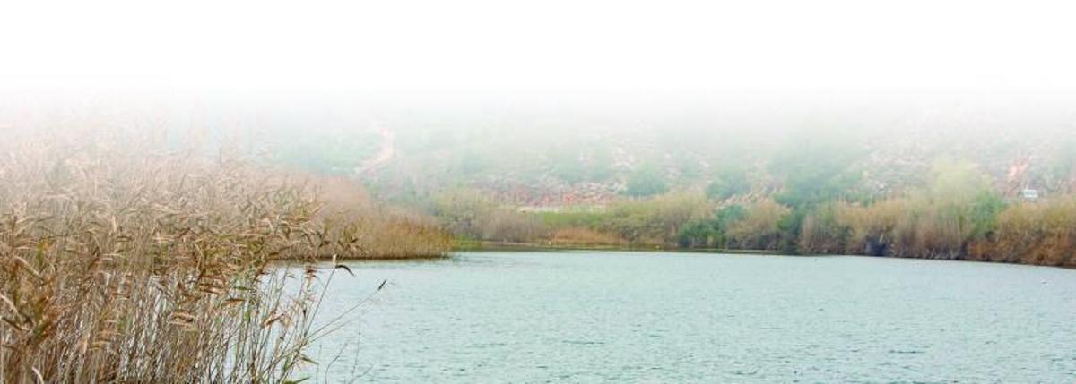 Panorámica del Júcar a su 
paso por Antella. perales iborra