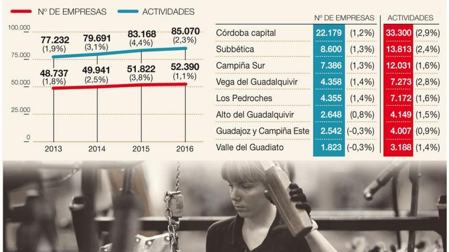 Fuente Palmera y Puente Genil, donde más crece el número de empresas