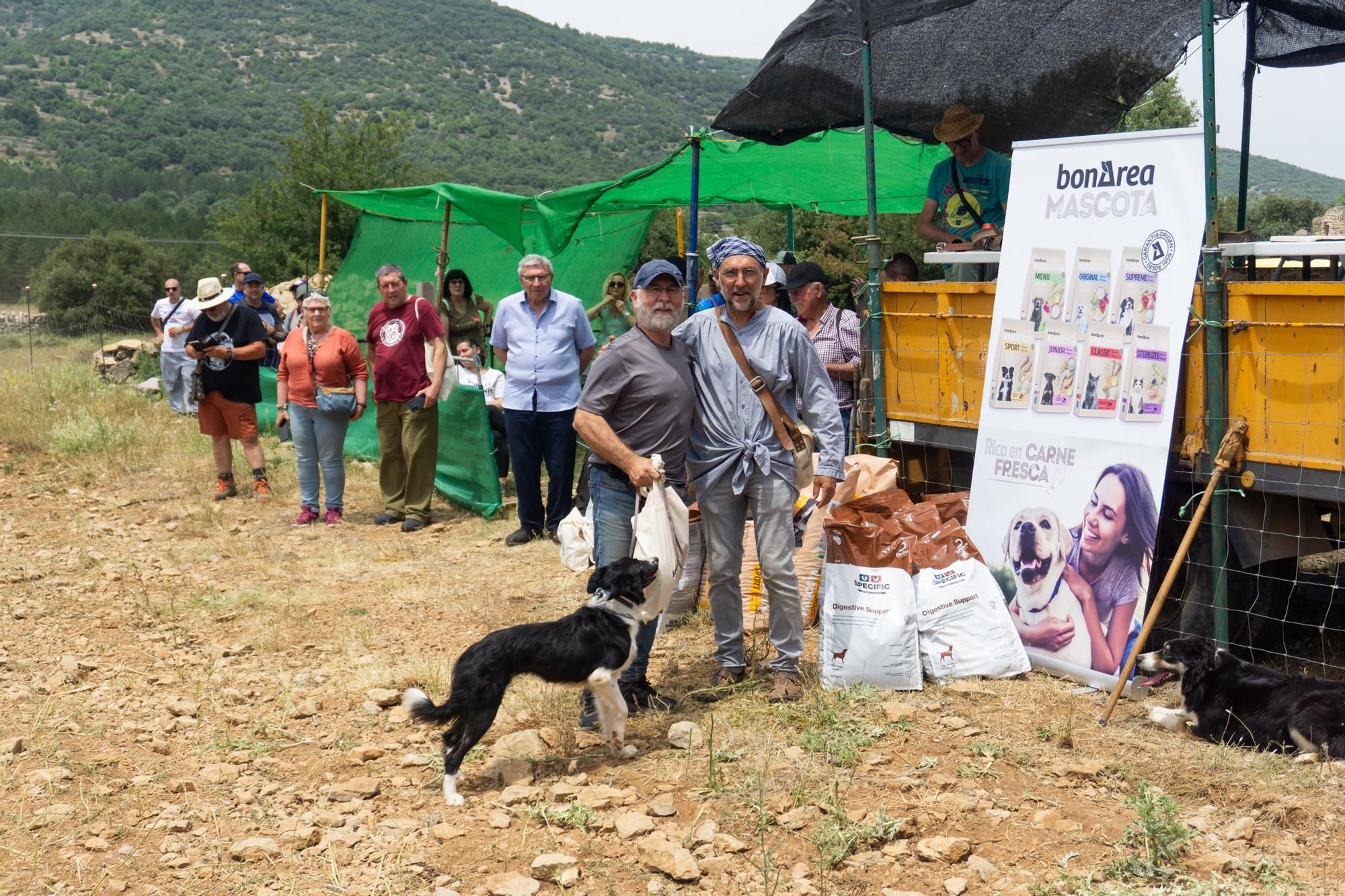 FOTOGALERÍA: Las imágenes del concurso de perros pastores de Ares del Maestrat