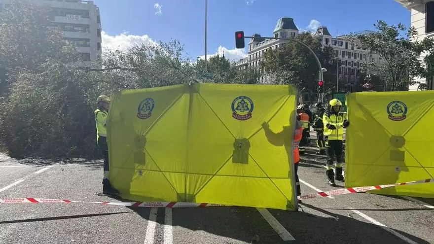 Muere una joven de 23 años en Madrid tras caerle un árbol encima por el fuerte viento