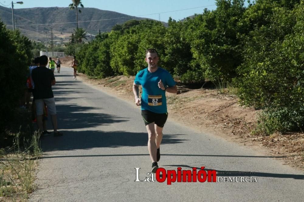 Carrera popular Joaquín Pernías 2019 en Purias