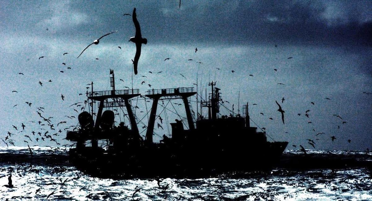 Buque de la armadora Fortuna, socia malvina de Pescapuerta, en el caladero. BARCO PESQUERO