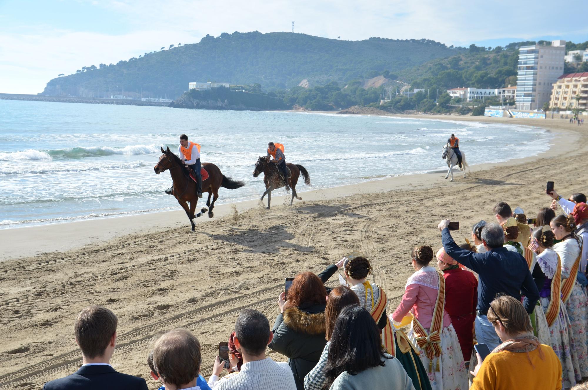 Las imágenes más vistosas de la carrera de caballos y burros de Orpesa