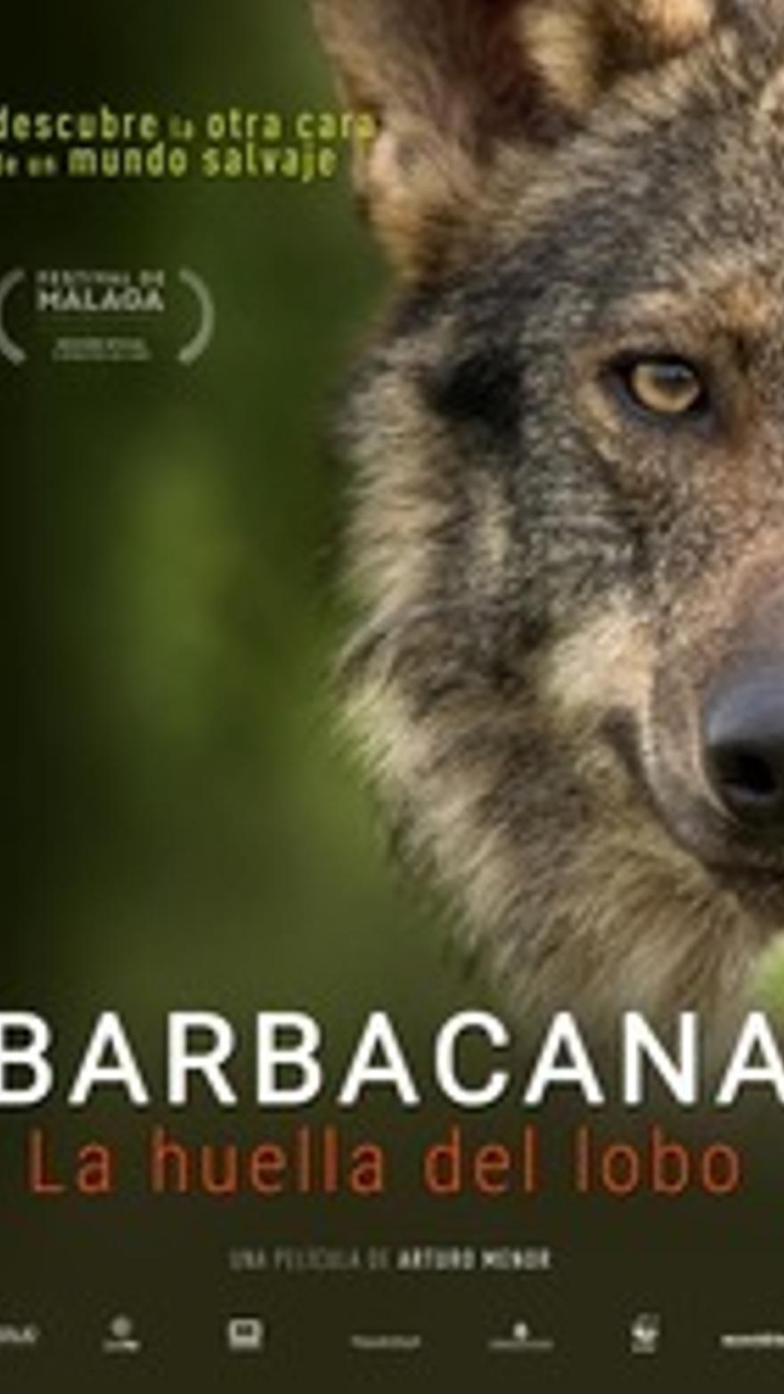 Barbacana, la huella del lobo