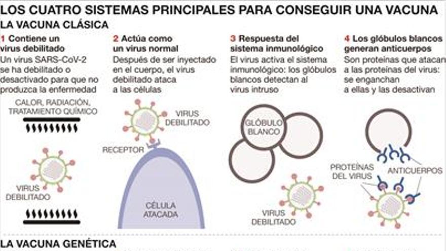 Las recetas para lograr la inmunidad