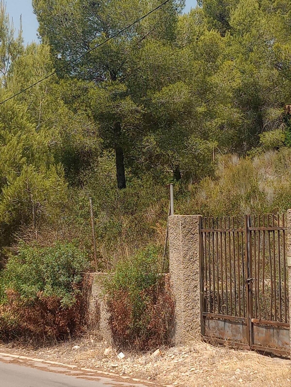 El estado de la parcela situada junto a la vivienda de los denunciantes en Cumbres de Calicanto de Torrent.