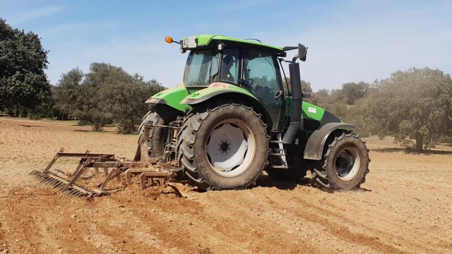 Un agricultor trabaja arando el campo.