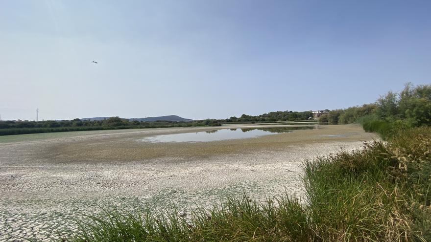 La laguna de Fuente de Piedra, prácticamente seca